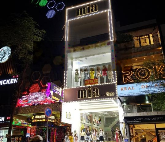 Giá bán 11 tỷ bán nhà có diện tích rộng 42m2 vị trí nằm trên Xóm Đất, Hồ Chí Minh chính chủ đăng tin