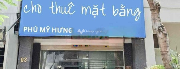 Thuê ngay với giá khởi đầu từ 18 triệu/tháng cho thuê mặt bằng diện tích chuẩn là 100m2 vị trí tại Hưng Gia, Hồ Chí Minh giá cực mềm-03