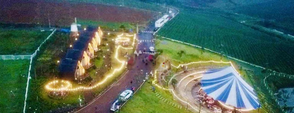 Gần Bảo Lộc, Lâm Đồng bán đất giá bán siêu rẻ chỉ 939 triệu diện tích đúng với trên ảnh 100m2-02