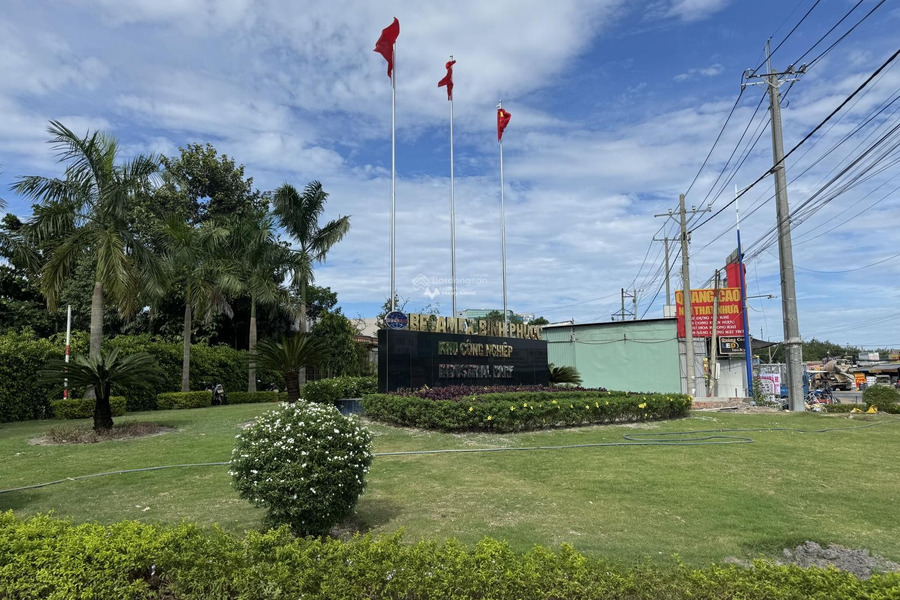 Vị trí tiện lợi ngay tại Chơn Thành, Bình Phước bán đất giá mua ngay 490 triệu diện tích rộng là 150m2-01