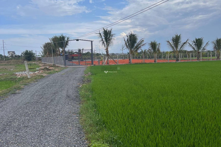 Hàm Thuận Bắc, Bình Thuận bán đất giá bán thương lượng 1 tỷ, hướng Tây có diện tích trung bình 1000m2-01