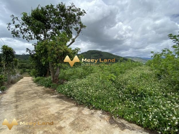 Cần bán đất vườn tại xã Mê Linh Đà Lạt chính chủ đăng tin-01