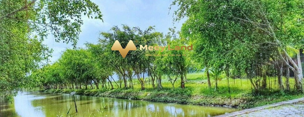 Xã Phú Xuân, Huyện Nhà Bè 5.54 tỷ bán đất dt chuẩn là 154m2-02