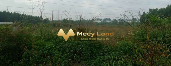 Đang kẹt tiền nên bán mảnh đất, 575m2 giá khủng 5 tỷ vị trí phát triển Xã Thiện Tân, Huyện Vĩnh Cửu liên hệ ngay để được tư vấn-03