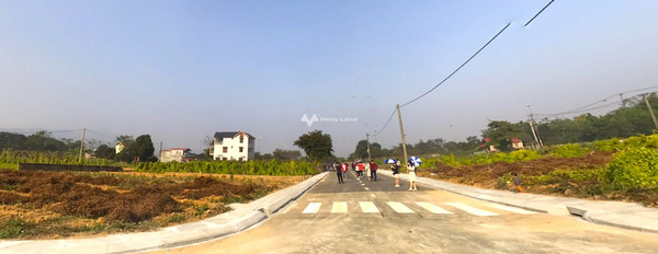 998 triệu bán đất có một diện tích 100m2 vị trí đẹp nằm tại Thạch Thất, Hà Nội-02