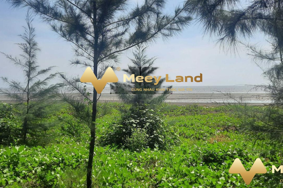 Ở Xã Long Hòa, Hồ Chí Minh bán đất 22 tỷ, hướng Nam diện tích tổng 1000 m2-01