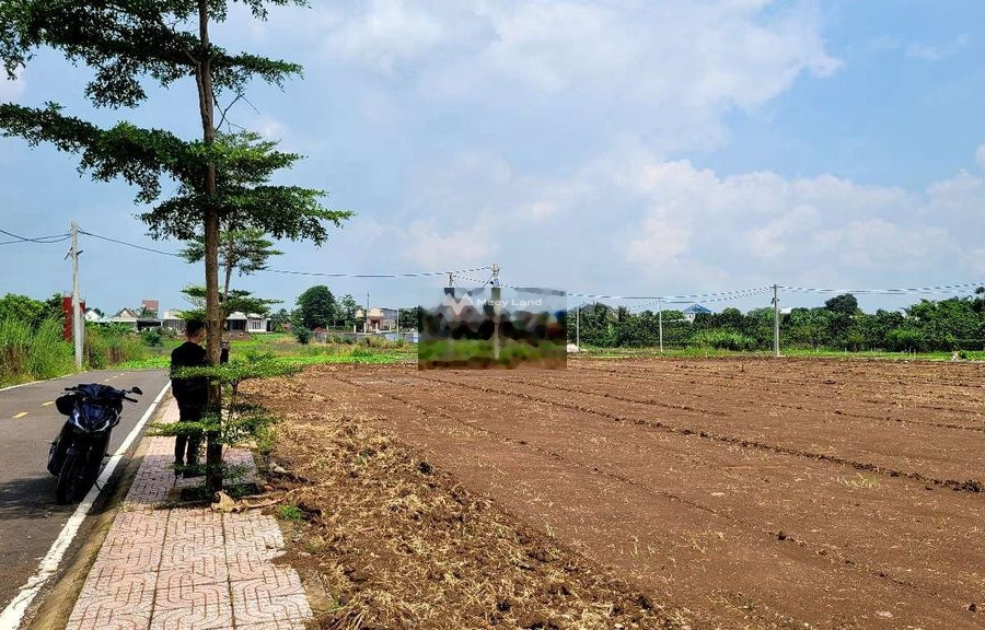 Vị trí mặt tiền gần Thống Nhất, Đồng Nai bán đất, giá bán thương mại chỉ 700 triệu diện tích rộng rãi 100m2-01