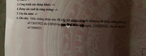 Cần xoay sở tiền trả nợ bán đất Hòa Quang Bắc, Phú Hòa giá bán chính chủ 790 triệu diện tích vừa phải 100m2-03