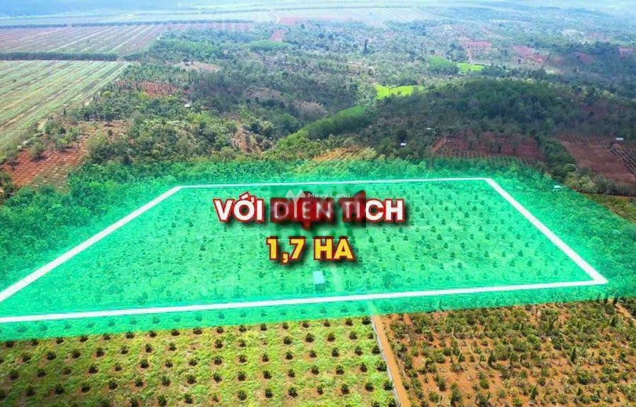 3.35 tỷ bán đất diện tích rất rộng 17000m2 vị trí đặt ở Liên Thôn, Ea D'Rơng-01