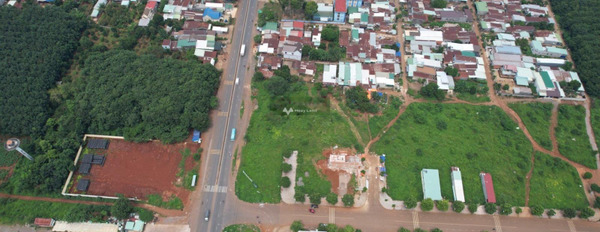 Nằm trong mức 880 triệu bán đất diện tích rộng là 100m2 vị trí thuận lợi ở Hưng Lộc, Đồng Nai-03