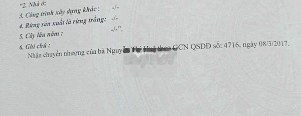 Giá bán mua liền 6 tỷ bán đất có diện tích quy ước 3002m2 vị trí mặt tiền tọa lạc trên Tân Phú, Bình Phước, hướng Nam-02