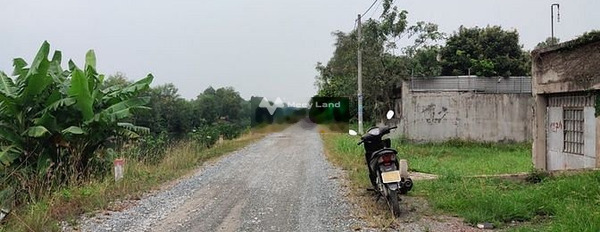 Bán mảnh đất 1000m2 vị trí đặt tọa lạc ngay Nguyễn Văn Bứa, Hồ Chí Minh-02