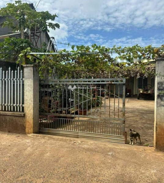 Bán nhà nằm trên Cư Kuin, Đắk Lắk giá bán bất ngờ từ 1.5 tỷ có diện tích gồm 400m2-01