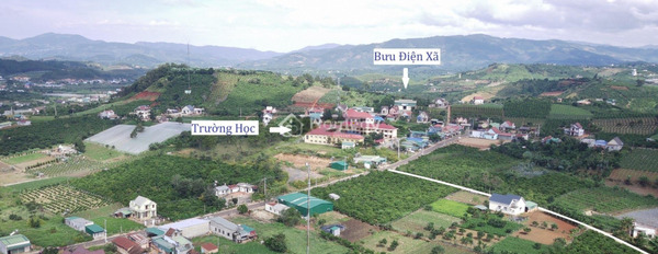 Nam Hà, Lâm Hà 10.5 tỷ bán đất với diện tích rộng 7047m2-02