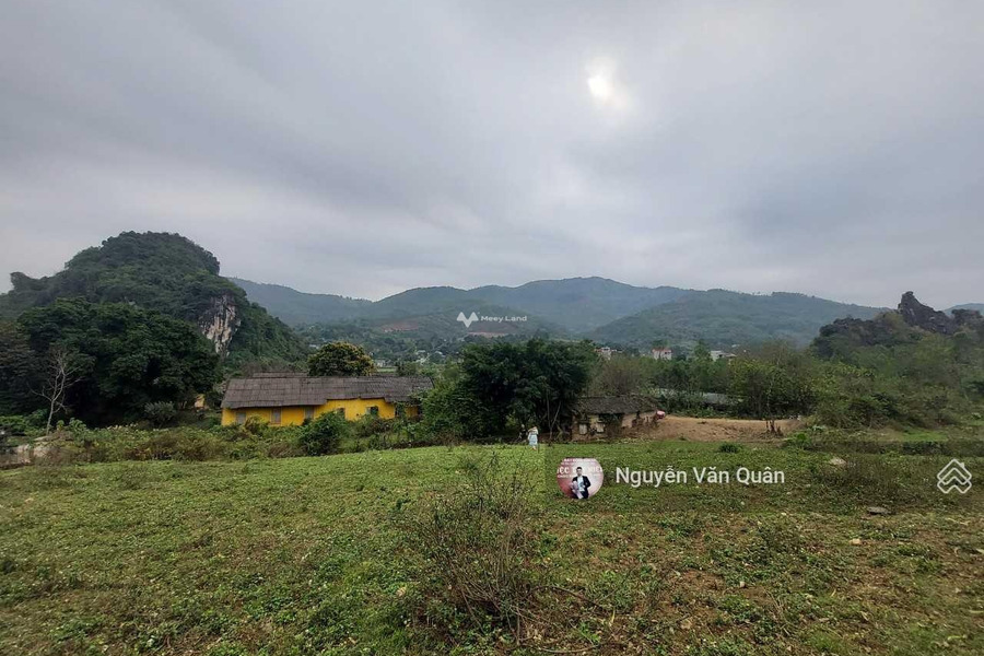 Cư Yên, Hòa Bình bán đất với diện tích chuẩn 2000m2-01