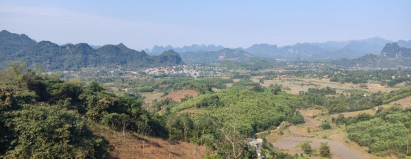 Bán đất tại Kim Bôi, Hòa Bình. Diện tích 20000m2-02