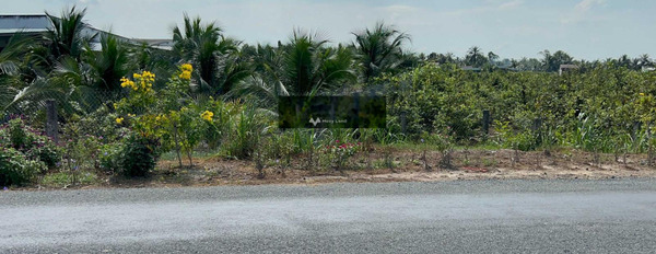 Bán mảnh đất tại Thân Cửu Nghĩa, Tiền Giang. Diện tích 500m2-03