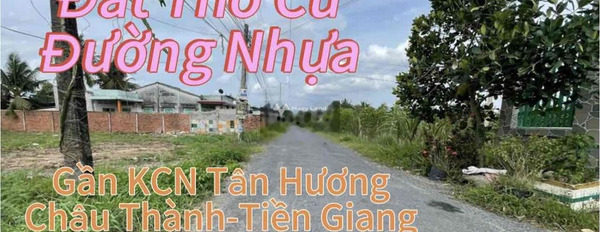 Đất Thổ Cư Đường ÔTô Tránh Nhau gần KcN Tân Hương Tiền Giang -03