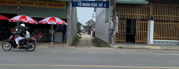 Chính chủ cần bán lô đất tại Xã Phú Hội (khu chợ chiều), Huyện Nhơn Trạch, Tỉnh Đồng Nai-02