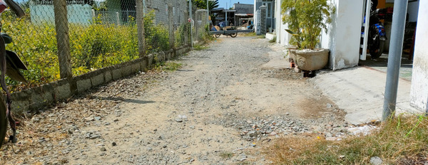 Bán đất tại Diên Sơn, giá rẻ đầu tư, khu dân cư đông đúc-02