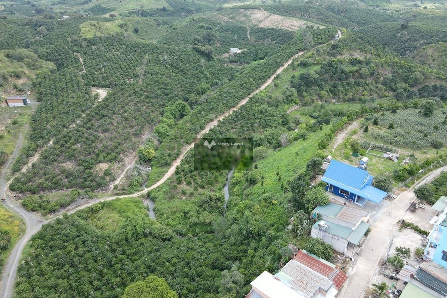 Giá gốc 2.5 tỷ bán đất diện tích tổng là 2200m2 vị trí thuận tiện Ninh Gia, Lâm Đồng-01