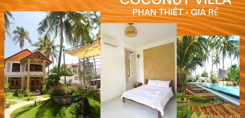 Cho thuê Coconut villa, điểm dừng chân lý tưởng của du khách khi đến tới Phan Thiết