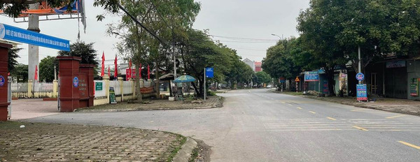 Mua bán đất huyện Gia Bình, Bắc Ninh, giá 1 tỷ-03