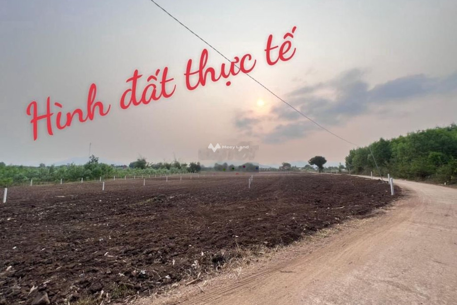 Sơn Hòa, Phú Yên bán đất giá bán tốt từ 300 triệu diện tích tổng 500m2-01