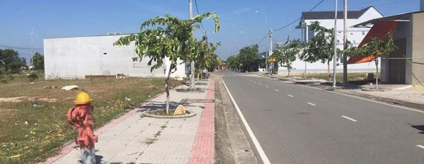 Lô đất đường Nguyễn Hữu Cảnh, Nhơn Trạch, ngay trung tâm, 105m2, có sổ hồng riêng, giá 1,6 tỷ-02