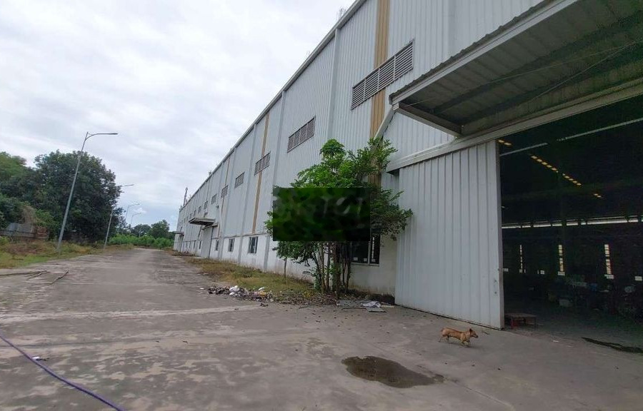 Cho thuê xưởng 60.000m2, kcn tam phước, phường tam phước, biên hoà -01