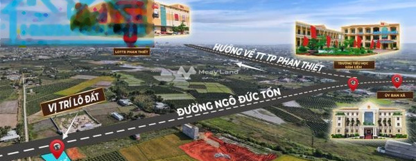Giá bán ngạc nhiên 1.4 tỷ bán đất có diện tích chuẩn 180m2 tọa lạc tại Hàm Liêm, Hàm Thuận Bắc-02
