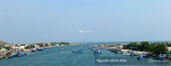 Cần ra đi gấp bán đất Tri Hải, Ninh Thuận giá bán ưu đãi 1.8 tỷ có diện tích là 128m2-02