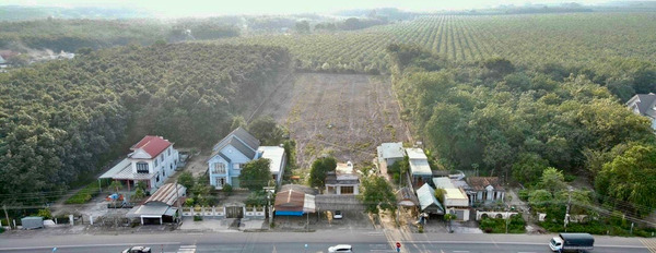 Bán đất nền Phú Giáo diện tích 11160,2m2, giá rẻ nhất thị trường-03