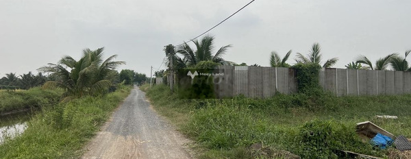 Nằm tại Bình Chánh, Hồ Chí Minh bán đất 120 tỷ với diện tích là 30000m2-02