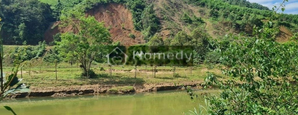 Khánh Phú, Khánh Hòa bán đất giá mua liền từ 200 triệu diện tích thực tế 544m2-03