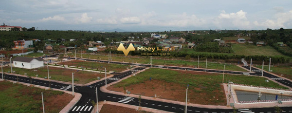 Đang làm ăn lớn bán mảnh đất, 300 m2 giá tốt bất ngờ chỉ 150 triệu nằm trên Lộc Phát, Bảo Lộc cảm ơn bạn đã đọc tin-03