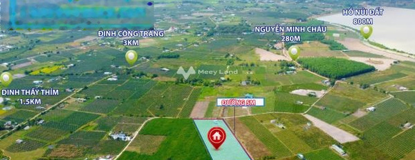 Chính chủ bán đất La Gi, Bình Thuận giá cơ bản 750 triệu diện tích chuẩn là 1000m2-03