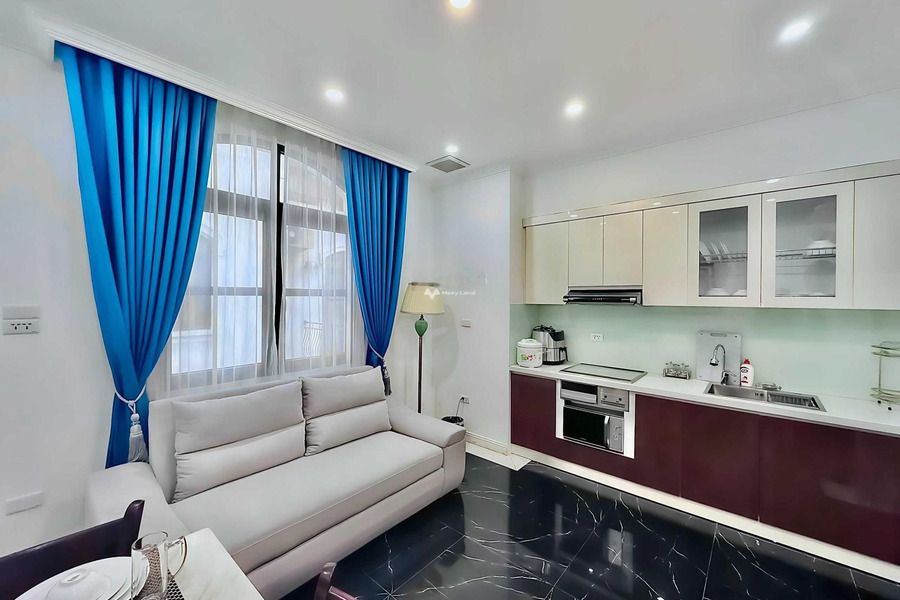 Cho thuê căn hộ có diện tích sàn 45m2 nằm trên Hồng Bàng, Hải Phòng giá thuê rẻ chỉ 17 triệu/tháng-01