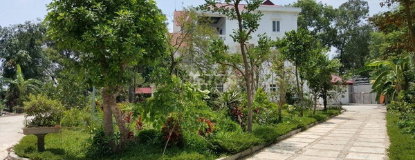 Chỉ 11.11 tỷ bán căn hộ diện tích chung là 3300m2 vị trí đặt tọa lạc trên Dương Văn An, Việt Trì-02