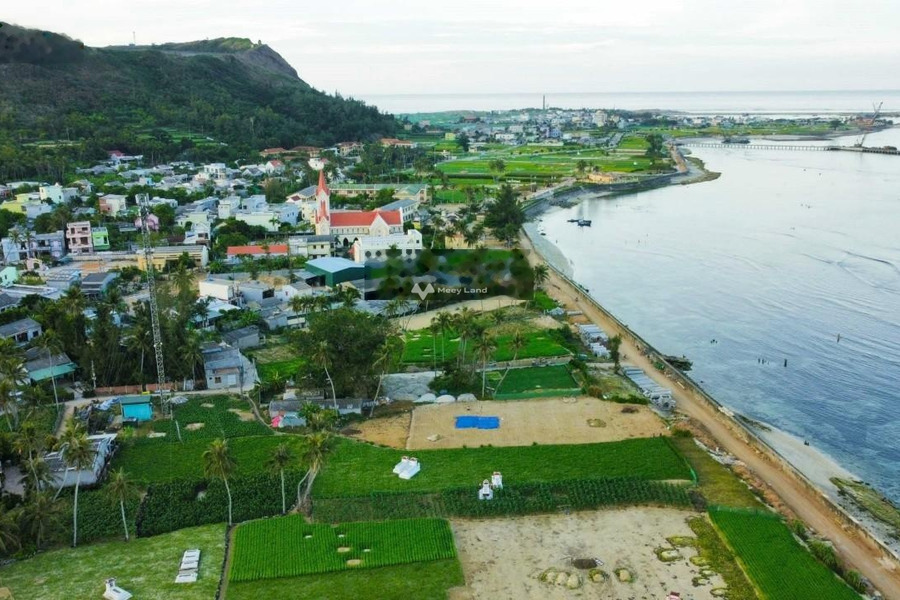 Vị trí hấp dẫn An Hải, Lý Sơn bán đất giá bán chốt nhanh từ 9.7 tỷ có một diện tích 969.7m2-01