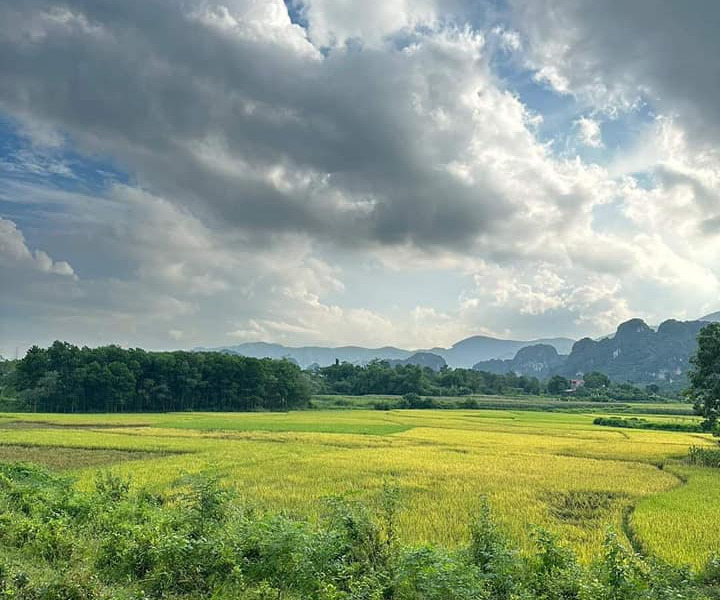 Cần bán đất huyện Trảng Bom tỉnh Đồng Nai giá 2 triệu/m2-01