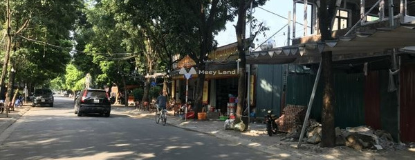 Bán biệt thự mặt tiền tọa lạc ngay tại Long Biên, Hà Nội bán ngay với giá êm chỉ 28.2 tỷ có diện tích chung là 300m2, tổng quan nhà có tất cả 4 PN-02