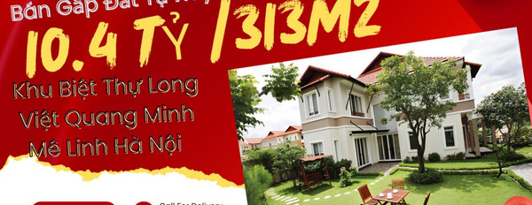 Bán biệt thự vị trí tốt ngay Mê Linh, Hà Nội. Diện tích 313m2-02
