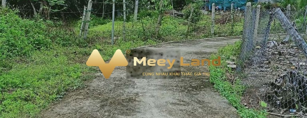 Bán đất giá 380 triệu tại huyện Diên Khánh, tỉnh Khánh Hòa-03