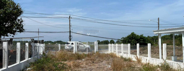Đầu tư bất động sản bán mảnh đất, 740m2 giá bán hợp lý từ 8.51 tỷ ở Phước Hội, Đất Đỏ liên hệ chính chủ-02