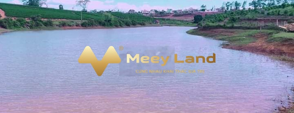 Bán đất 2.2 tỷ Huyện Di Linh, Tỉnh Lâm Đồng Diện tích đất 749 m2-02