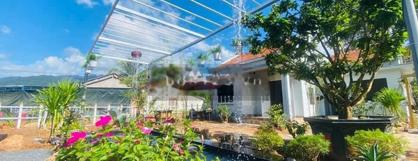 Giá 1.39 tỷ bán nhà diện tích gồm 708m2 ngay trên Tỉnh Lộ 8B, Khánh Hòa hướng Tây Bắc khách có thiện chí liên hệ ngay-02