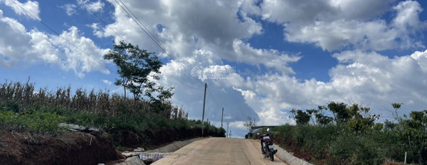 Cần bán mảnh đất tại Bảo Lộc, Lâm Đồng. Diện tích 1000m2-03
