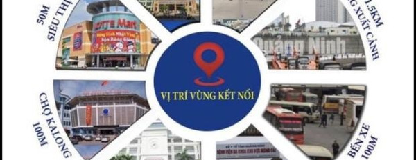 Bán nhà tọa lạc ngay tại Nguyễn Văn Cừ, Quảng Ninh vào ở ngay giá thỏa thuận từ 4.7 tỷ diện tích khoảng 67 m2 căn này có tổng 7 PN-02