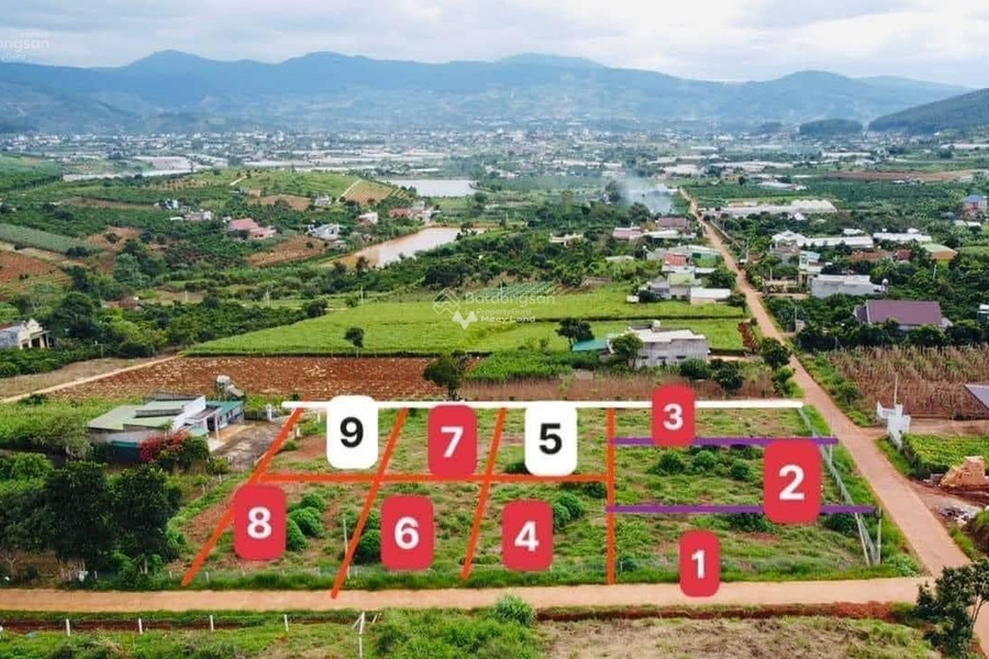 Do dịch bệnh bán đất Nam Ban, Lâm Đồng giá hạt dẻ chỉ 1.25 tỷ có diện tích chính 386m2-01